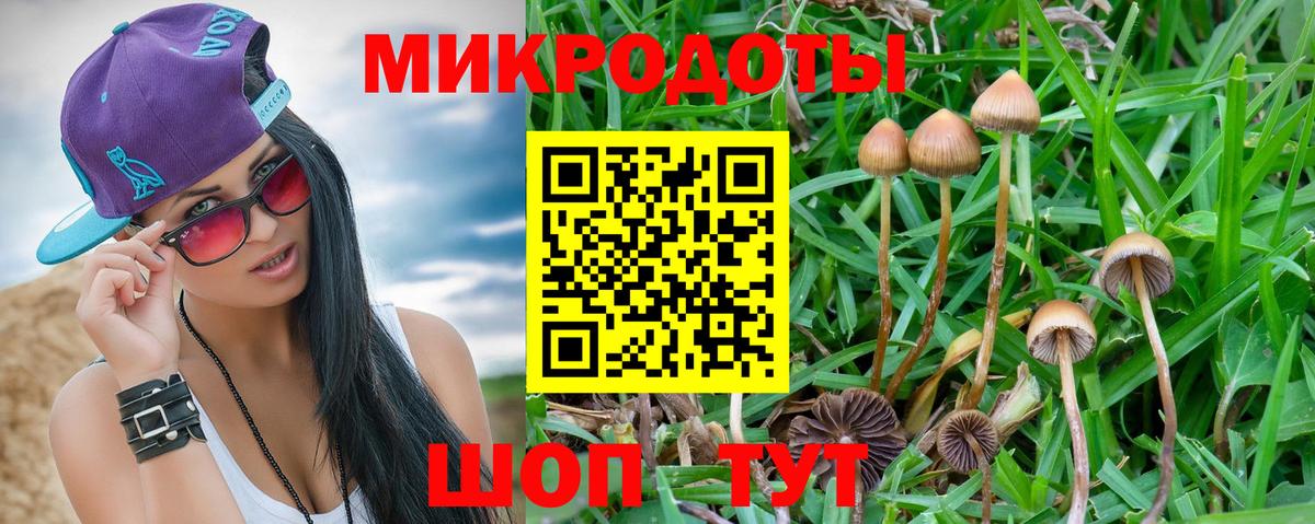 Псилоцибиновые грибы ЛСД Калининград