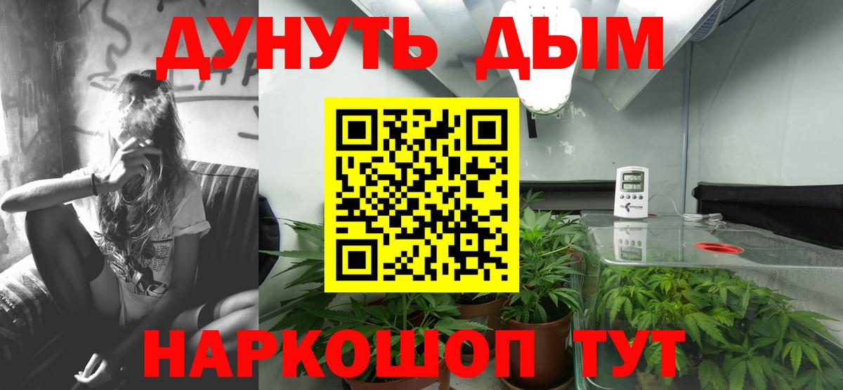 Конопля ГИДРОПОН  Вход с VPN  Бошки Шишки White Widow  Марихуана семена  Калининград 